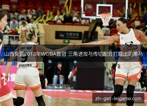 山西女篮2013年WCBA首冠 三角进攻与传切配合打磨出的黑马